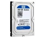 Western Digital Blue HDD 3.5" | 250GB SATA III | 7200RPM | PULLED